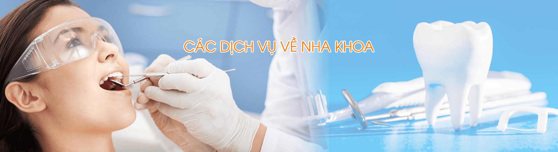 banner new